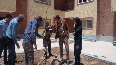  کاشت درخت مثمر در محوطه خوابگاه جدید در دانشکده تغذیه و علوم غذایی آرادان